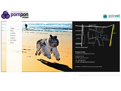Pompon Studio - Strzyżenie i pielęgnacja psów